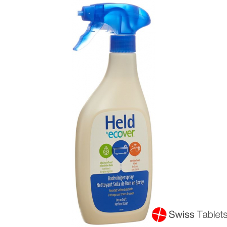 Held Eco Badreiniger Spray 500ml buy online