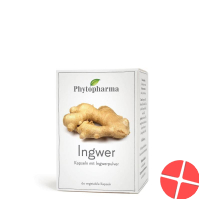 PhytopharmaGinger Capsules 60 Caps