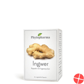 PhytopharmaGinger Capsules 60 Caps