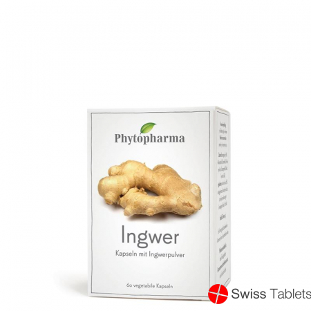 PhytopharmaGinger Capsules 60 Caps buy online
