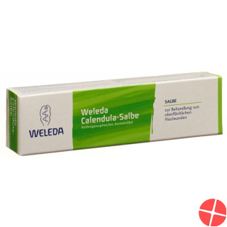 Weleda Calendula Salbe Neue Formel 25g