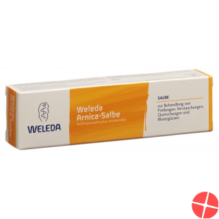 Weleda Arnica Salbe 25g