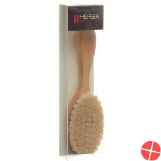 Herba Baby Haarbürste Buchenholz