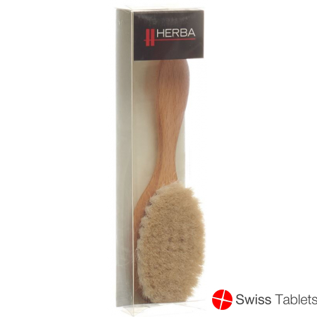 Herba Baby Haarbürste Buchenholz buy online