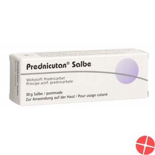 Prednicutan Salbe 2.5mg/g 30g