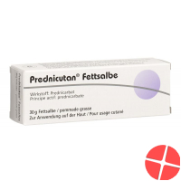 Prednicutan Fettsalbe 2.5mg/g 30g