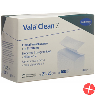 Valaclean Z Einmal Waschlappen 21x25cm 100 Stück