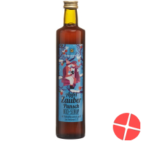 Sonnentor Apfel Punsch Bio-Sirup 500ml