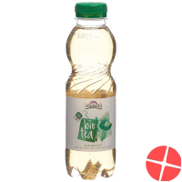 Holderhof Ice Tea Alpine Bio Petflasche 5dl