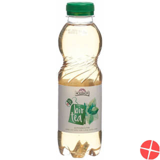 Holderhof Ice Tea Alpine Bio Petflasche 5dl