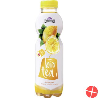 Holderhof Ice Tea Lemon Bio Petflasche 5dl