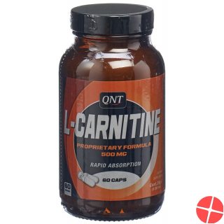 Qnt L-carnitine Kapseln 500mg 60 Stück