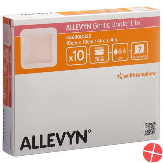 Allevyn Gentle Border Lite Wundverband 10x10cm 10 Stück