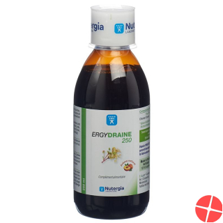 Nutergia Ergydraine Flasche 250ml