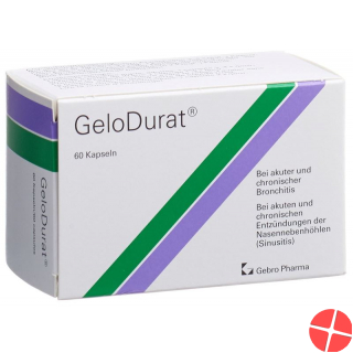 Gelodurat Kapseln 60 Stück