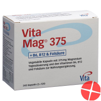 Vita Mag 375 240 Kapseln