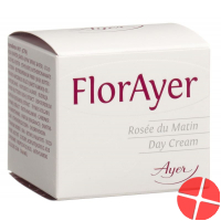 Flor Ayer Day Cream 50ml
