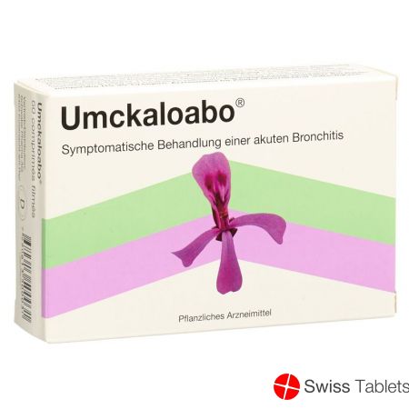 Umckaloabo Filmtabletten 60 Stück buy online