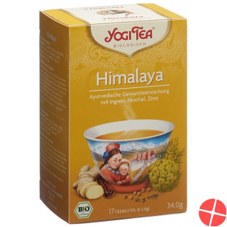 Yogi Tee Himalaya Beutel 17 Stück