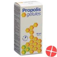 Propolis Gelules 377mg 80 Stück
