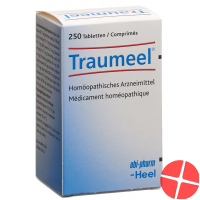 Traumeel Tabletten 250 Stück