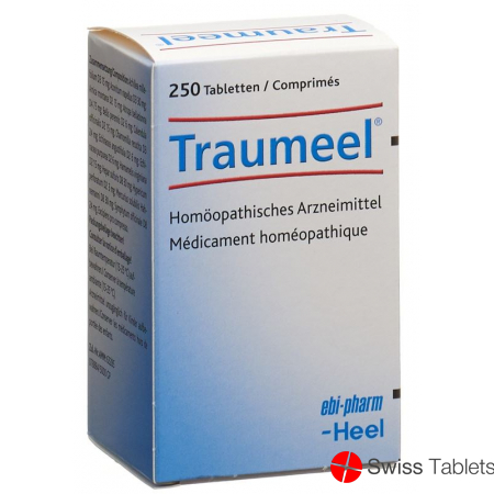 Traumeel Tabletten 250 Stück buy online