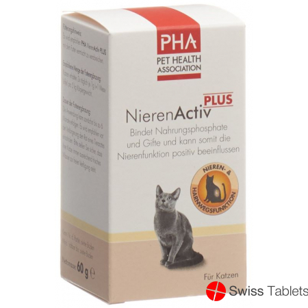 PHA NierenActiv Plus für Katzen Pulver Dose 60g buy online