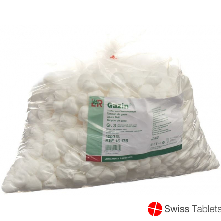 Gazin Tupfer Vm20 Grösse 3 Pflaumengross 1000 Stück buy online