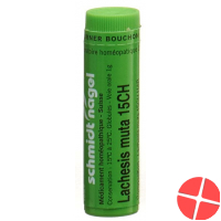 Lachesis muta SN Glob CH 15 1 g