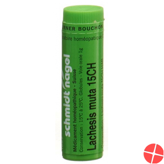 Lachesis muta SN Glob CH 15 1 g