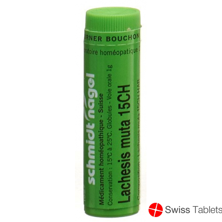 Lachesis muta SN Glob CH 15 1 g