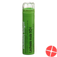 Lachesis muta SN Gran CH 5 4 g