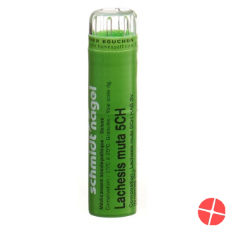 Lachesis muta SN Gran CH 5 4 g