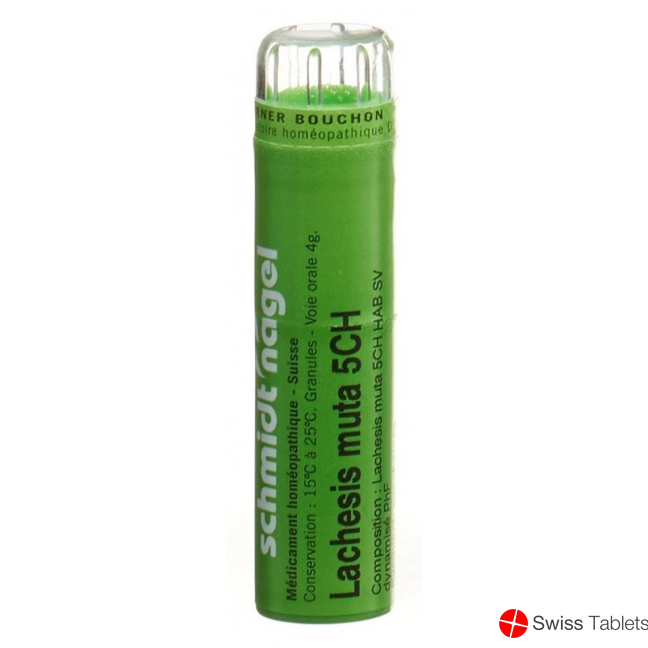 Lachesis muta SN Gran CH 5 4 g