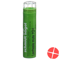 Lachesis muta SN Gran CH 7 4 g Lachesis muta SN Gran CH 7 4 g