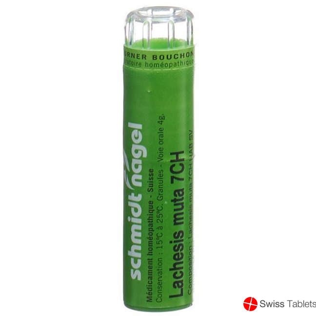 Lachesis muta SN Gran CH 7 4 g