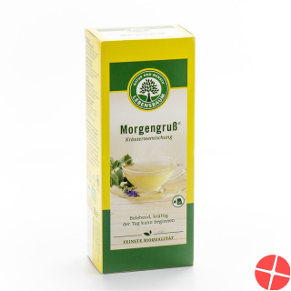 Lebensbaum Morgengruss 20 Beutel 1.5g
