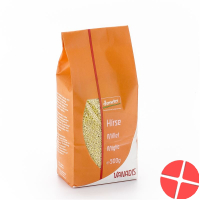 Vanadis Hirse Gold 500g