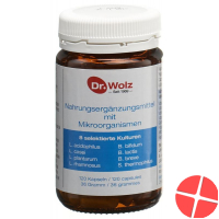 Dr. Wolz microorganisms Kaps 120 pcs