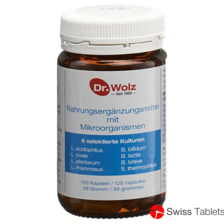 Dr. Wolz microorganisms Kaps 120 pcs