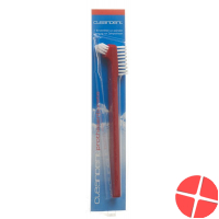 Cleandent denture brush Cleandent denture brush
