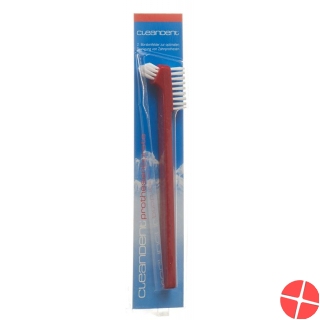 Cleandent denture brush
