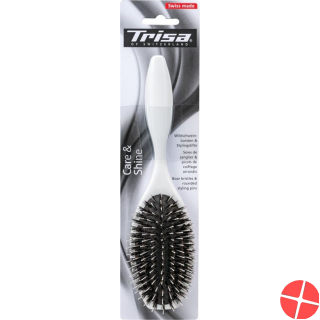 Trisa Basic Brushing large mixed