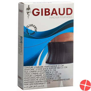 Gibaud Action V Lendenstützgurt Grösse 3 100-110cm Sch