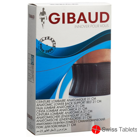 Gibaud Action V Lendenstützgurt Grösse 3 100-110cm Sch buy online