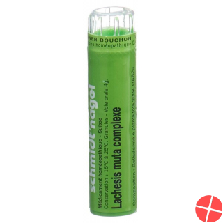 Lachesis muta SN complexe Gran 4 g