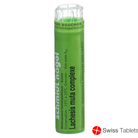 Lachesis muta SN complexe Gran 4 g