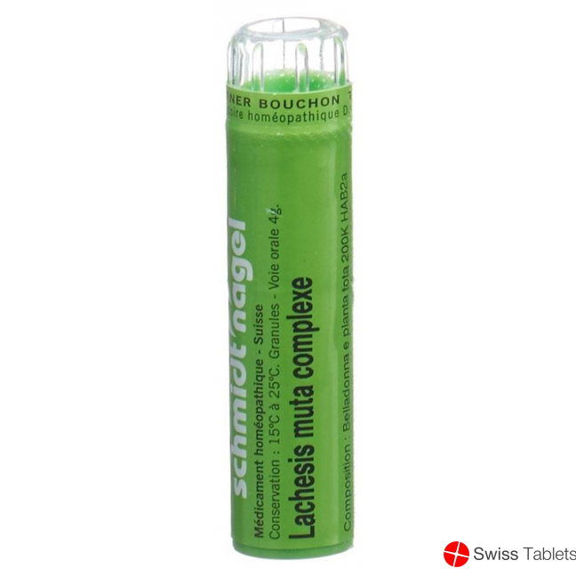 Lachesis muta SN complexe Gran 4 g