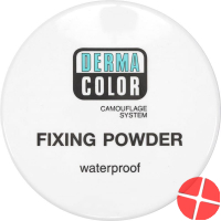 Dermacolor Setting Powder P11 Ds 20 g