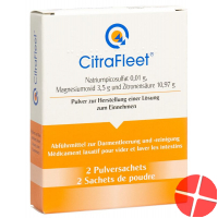 CitraFleet PLV Battalion 2 pcs
